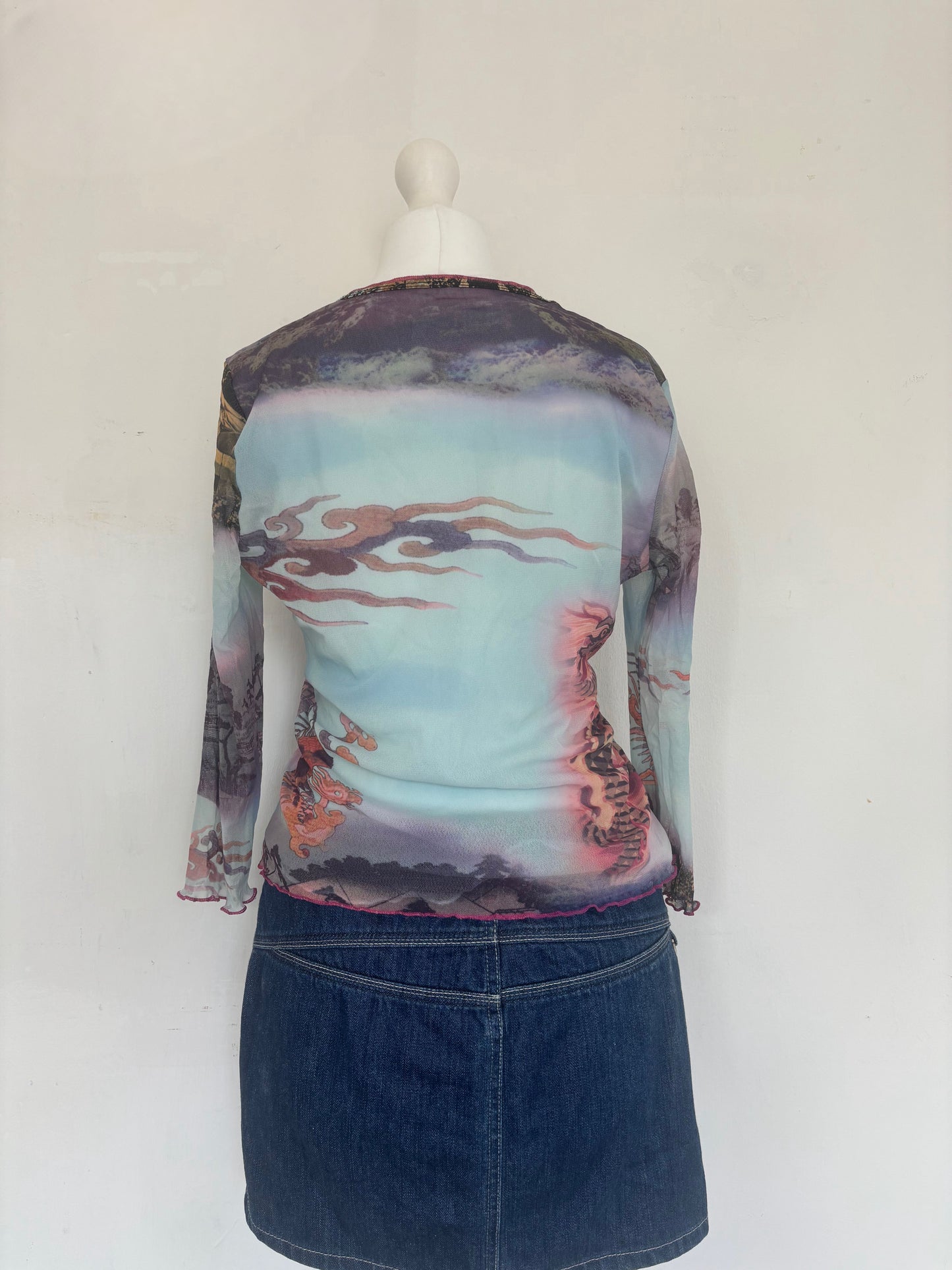 Blue Dragon Print Mesh Long Sleeve Top