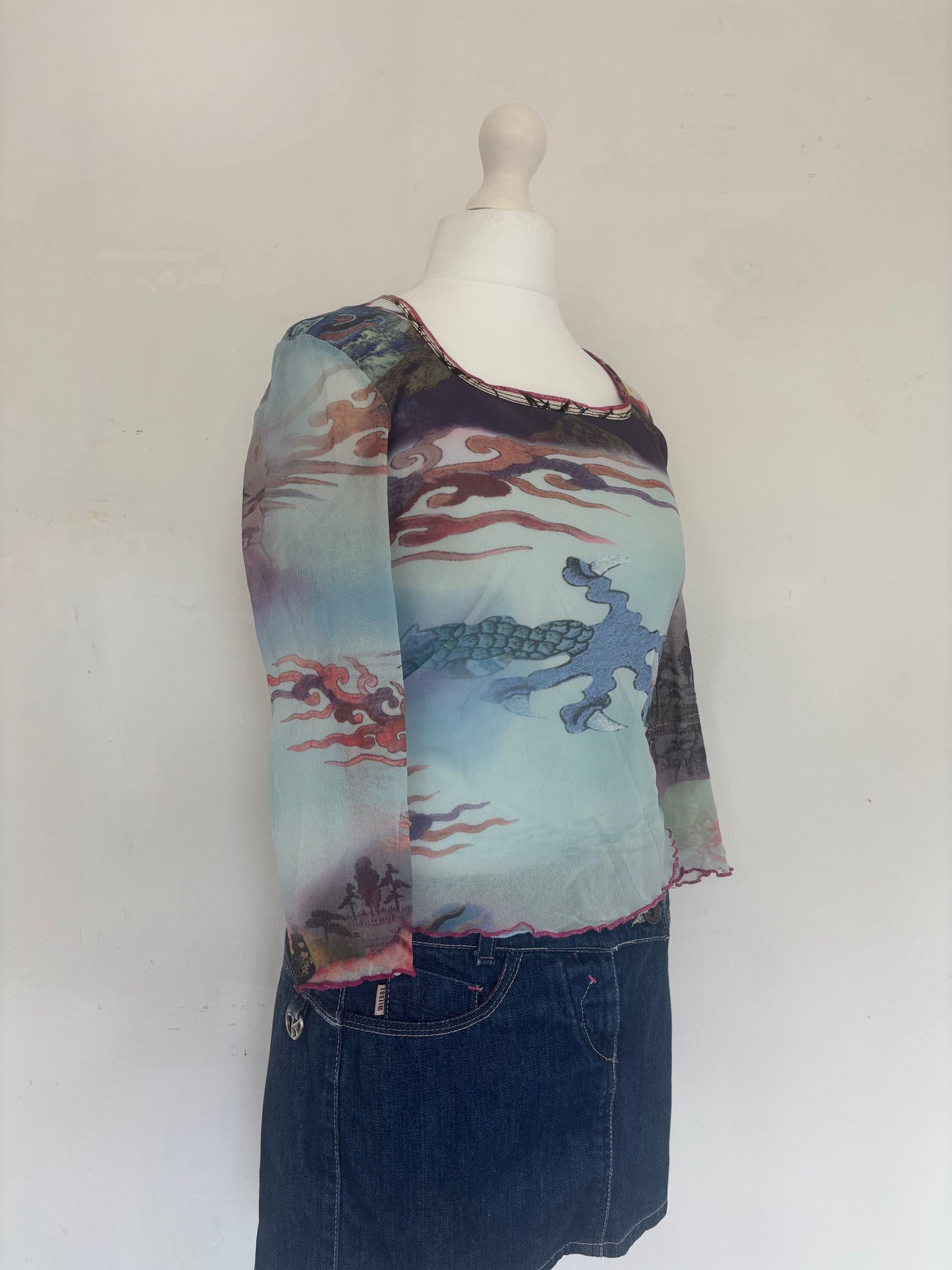 Blue Dragon Print Mesh Long Sleeve Top
